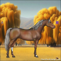 Horse Color:Liver Chestnut Mushroom 