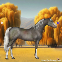 Horse Color:Liver Chestnut Mushroom 