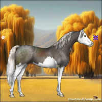 Horse Color:Liver Chestnut Mushroom Splash 