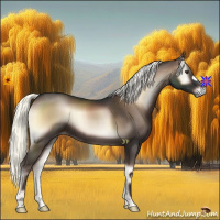 Horse Color:Liver Red Onyx Mushroom 