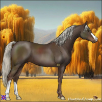Horse Color:Liver Chestnut Mushroom 