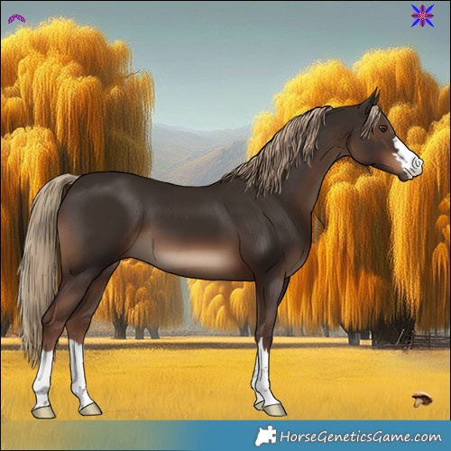 Horse Color:Liver Chestnut 