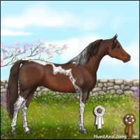 Horse Color:Liver Chestnut Tobiano 