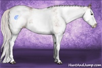 Horse Color:White Spotted Silver Bay Splash 