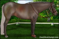 Horse Color:Silver Brown Mushroom 