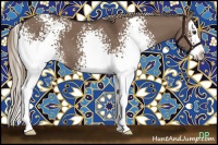 Horse Color:White Spotted Liver Red Dun Splash 