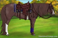 Horse Color:Chocolate Black