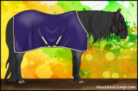 Horse Color:Blue Roan Rabicano