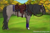 Horse Color:Grullo Roan 