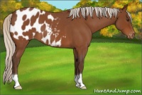 Horse Color:Silver Buckskin Roan Blanket 