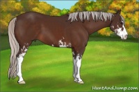 Horse Color:Silver Brown Sabino 