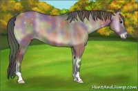 Horse Color:Nacre Grullo Onyx 
