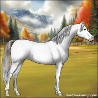 Horse Color:Blue Roan Frame Near Leopard 