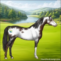 Horse Color:Liver Chestnut Frame 