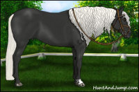 Horse Color:Liver Chestnut Mushroom 