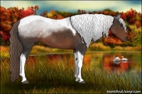 Horse Color:Liver Chestnut Sabino Tobiano 