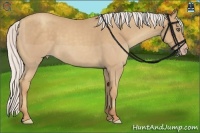 Horse Color:Silver Classic Champagne