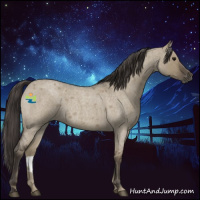 Horse Color:Smoky Grullo Roan 