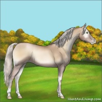Horse Color:Silver Smoky Blue Onyx Pearl Sabino 