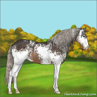 Horse Color:White Spotted Silver Smoky Black 