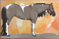 Horse Color:Grullo Tobiano