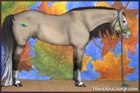 Horse Color:Bay Roan Dun Splash 