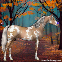 Horse Color:White Spotted Silver Bay Pearl Sabino 