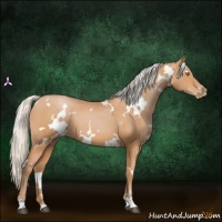 Horse Color:White Spotted Silver Bay Pearl