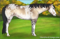 Horse Color:White Spotted Brown Ice Onyx 