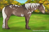 Horse Color:White Spotted Liver Chestnut Mushroom 