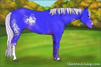 Horse Color:Watercolor White Spotted Liver Chestnut Mushroom Sabino Rabicano 