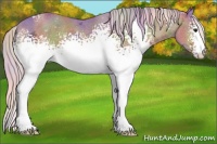 Horse Color:Nacre Watercolor White Spotted Silver Bay Ice 