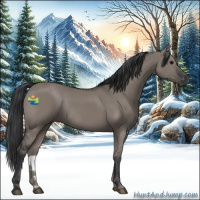 Horse Color:Grullo Rabicano 