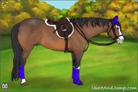 Horse Color:Buckskin Splash 
