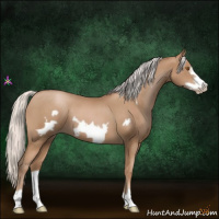 Horse Color:Silver Black Pearl Frame 