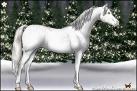 Horse Color:White Spotted Silver Bay Pearl