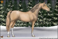 Horse Color:Chestnut Pearl 