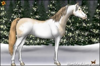Horse Color:White Spotted Red Dun Pearl Sabino Frame 