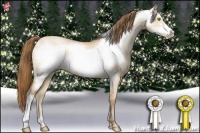 Horse Color:Bay Pearl Dun Frame 