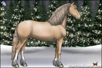 Horse Color:Chestnut Pearl 