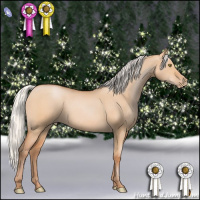 Horse Color:Silver Bay Pearl Dun