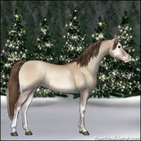Horse Color:Grullo Pearl Onyx 
