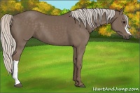 Horse Color:Silver Black 