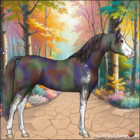 Horse Color:Nacre Black Sabino 