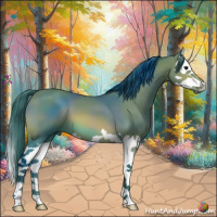 Horse Color:Watercolor Bay Sabino Splash