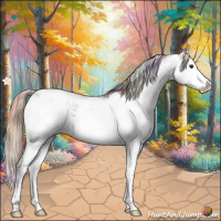 Horse Color:Nacre Chestnut Sabino Splash Appaloosa 