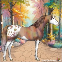 Horse Color:Nacre Chestnut Sabino Splash Blanket 