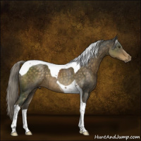 Horse Color:Chocolate Palomino Mushroom Sabino Tobiano