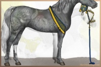 Horse Color:Silver Black Chinchilla Ice 