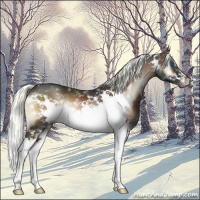 Horse Color:White Spotted Liver Red Onyx Mushroom Splash Frame 